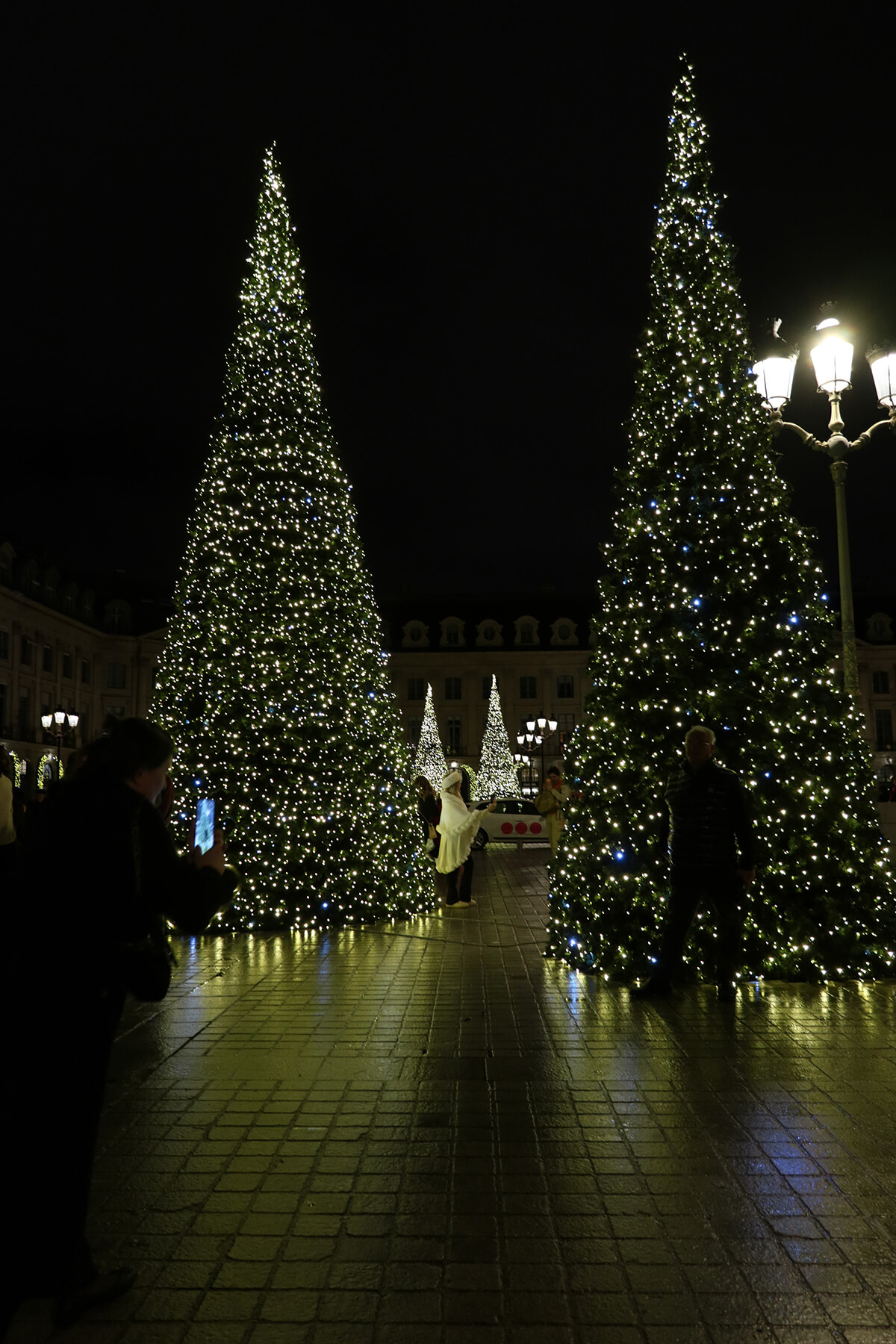 251212-illumination-10.jpg