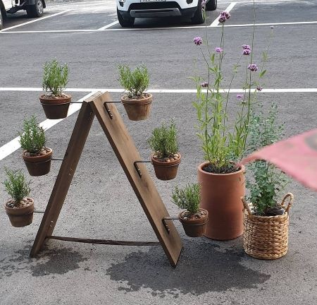 C_駐車禁止標識_お店①.jpg