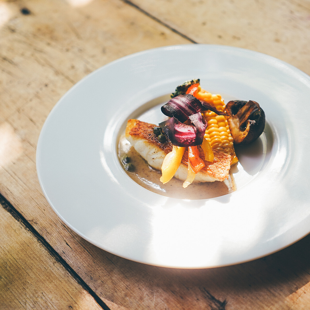 260212-miki (12).jpg