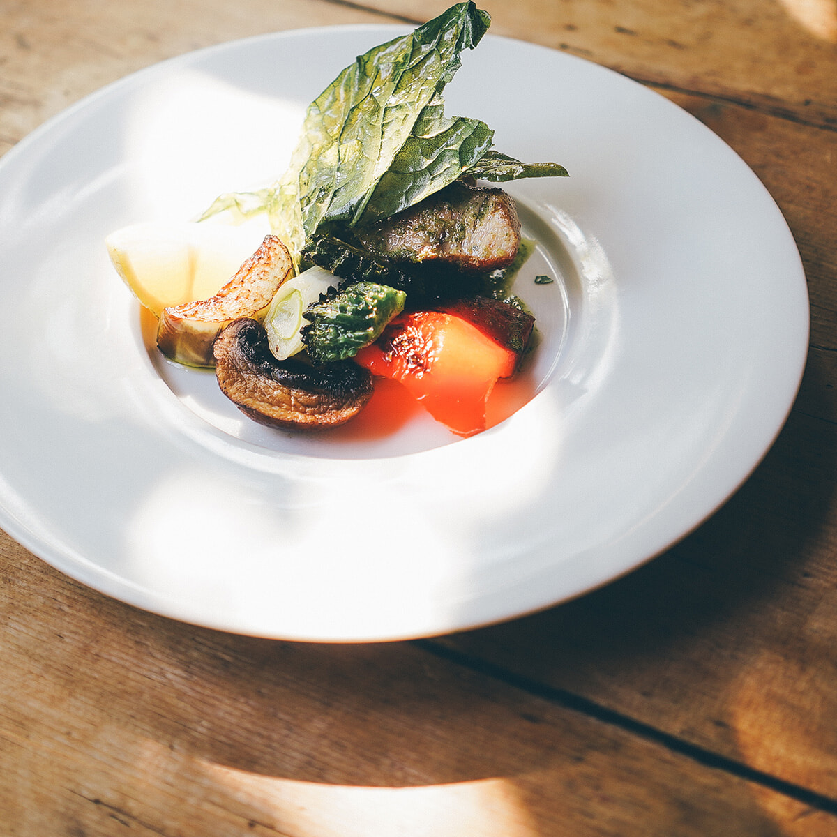 260212-miki (13).jpg