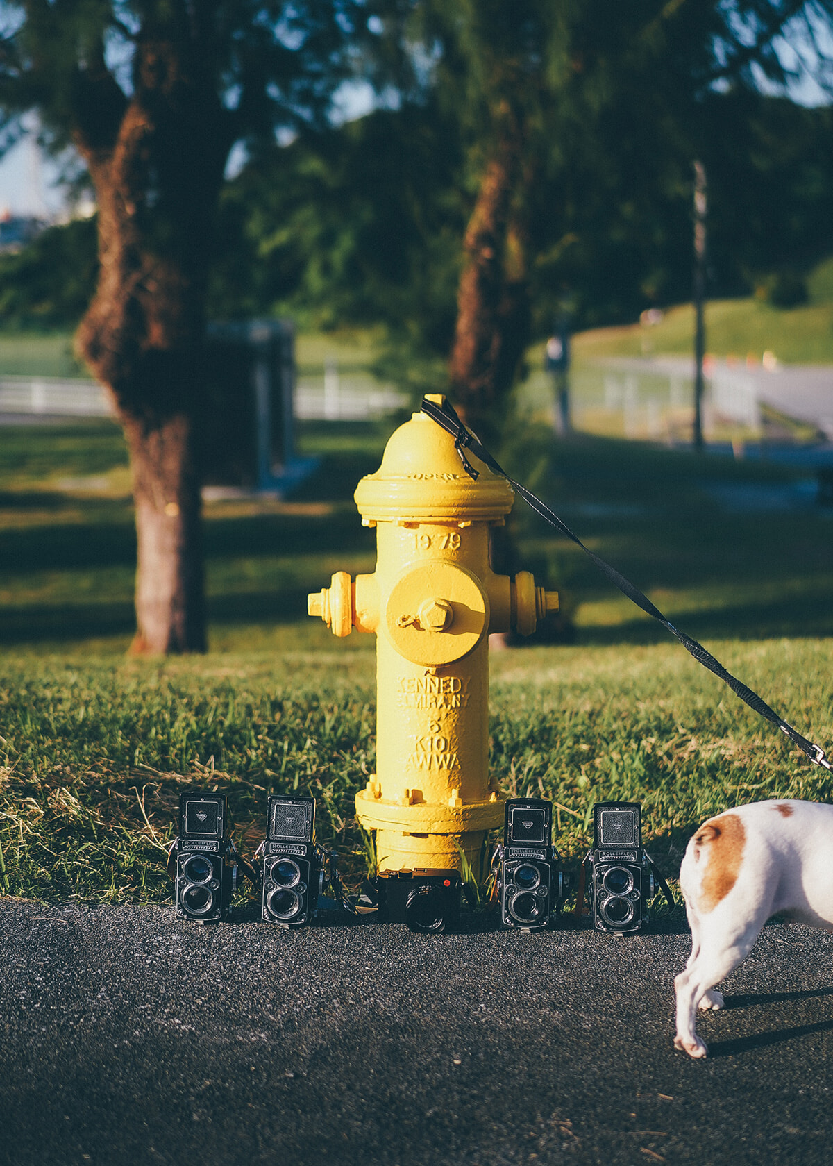 260212-miki (20).jpg