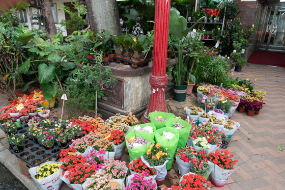 210514-garden-hongkong-02.jpg