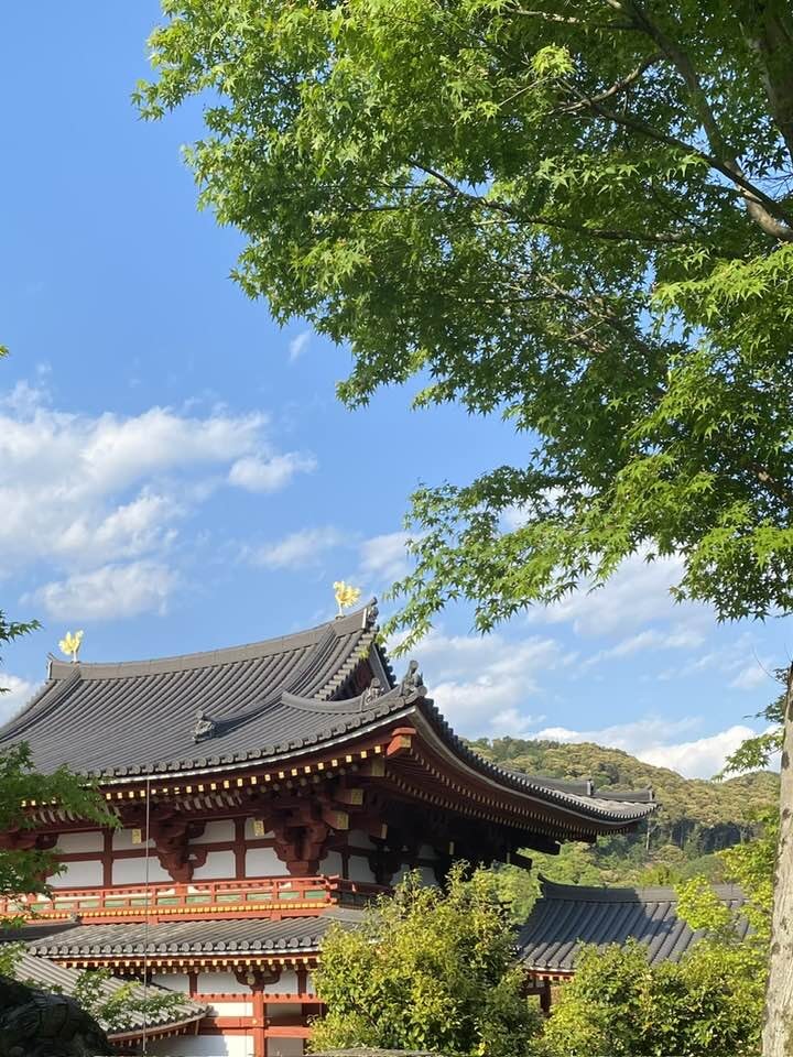 600966062_25509508872015738_4405149067498560688_n (1).jpg