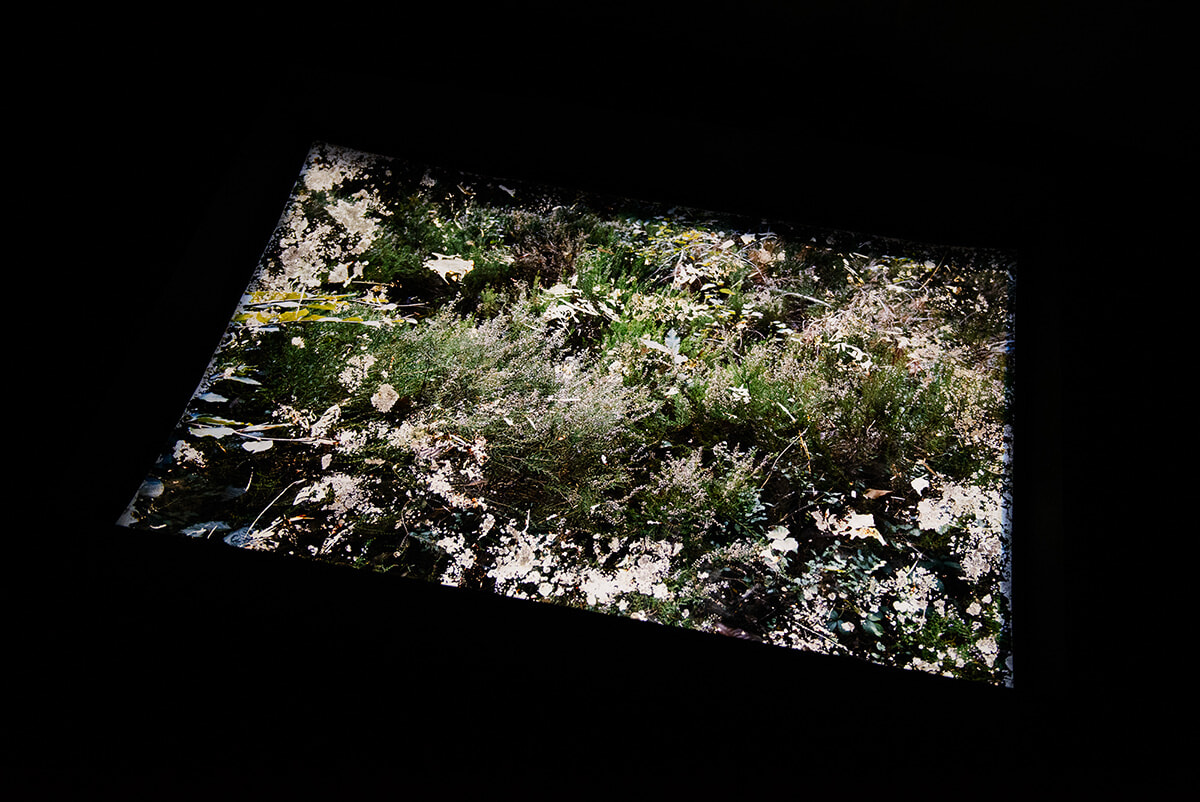 250502-kyotographie-22.jpg