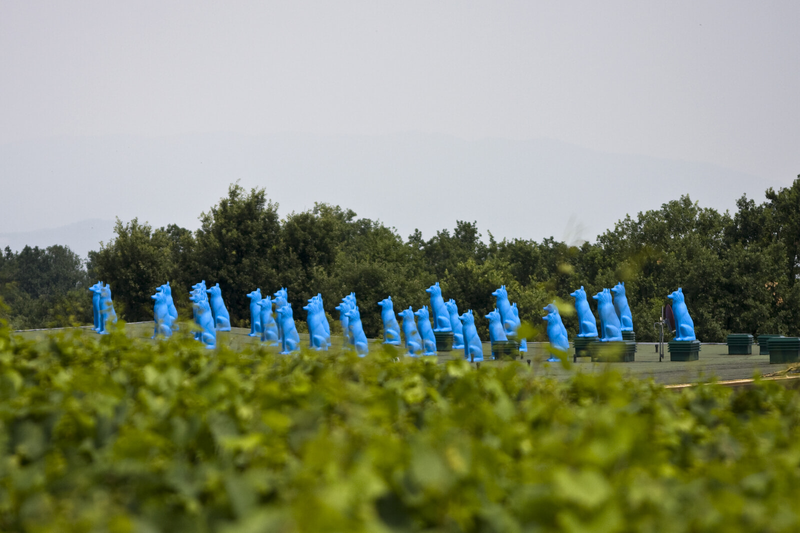 Ca' del Bosco_Blue Guardians_Cracking Art_1 (1).jpg