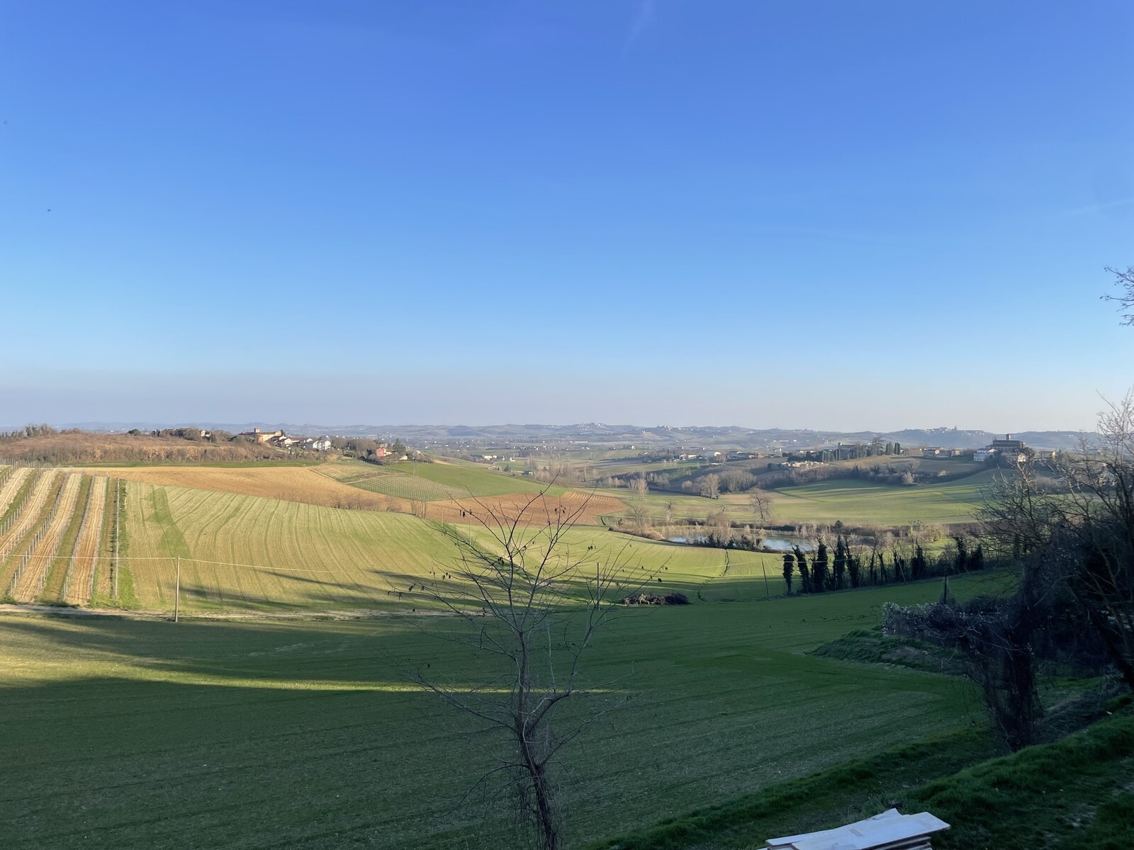 IMG_4970.jpeg
