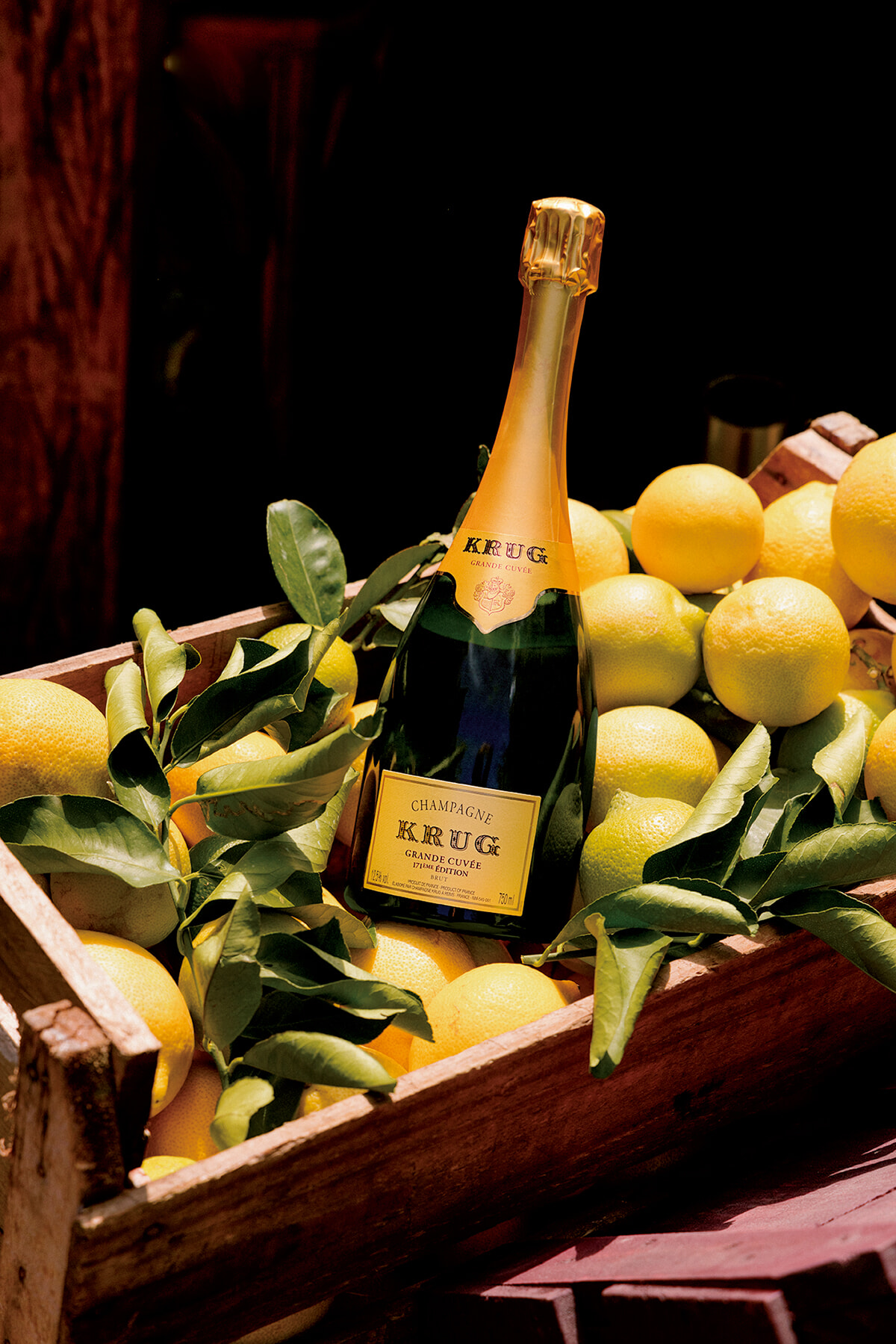 KRUG_BRASIL-01-230620.jpg