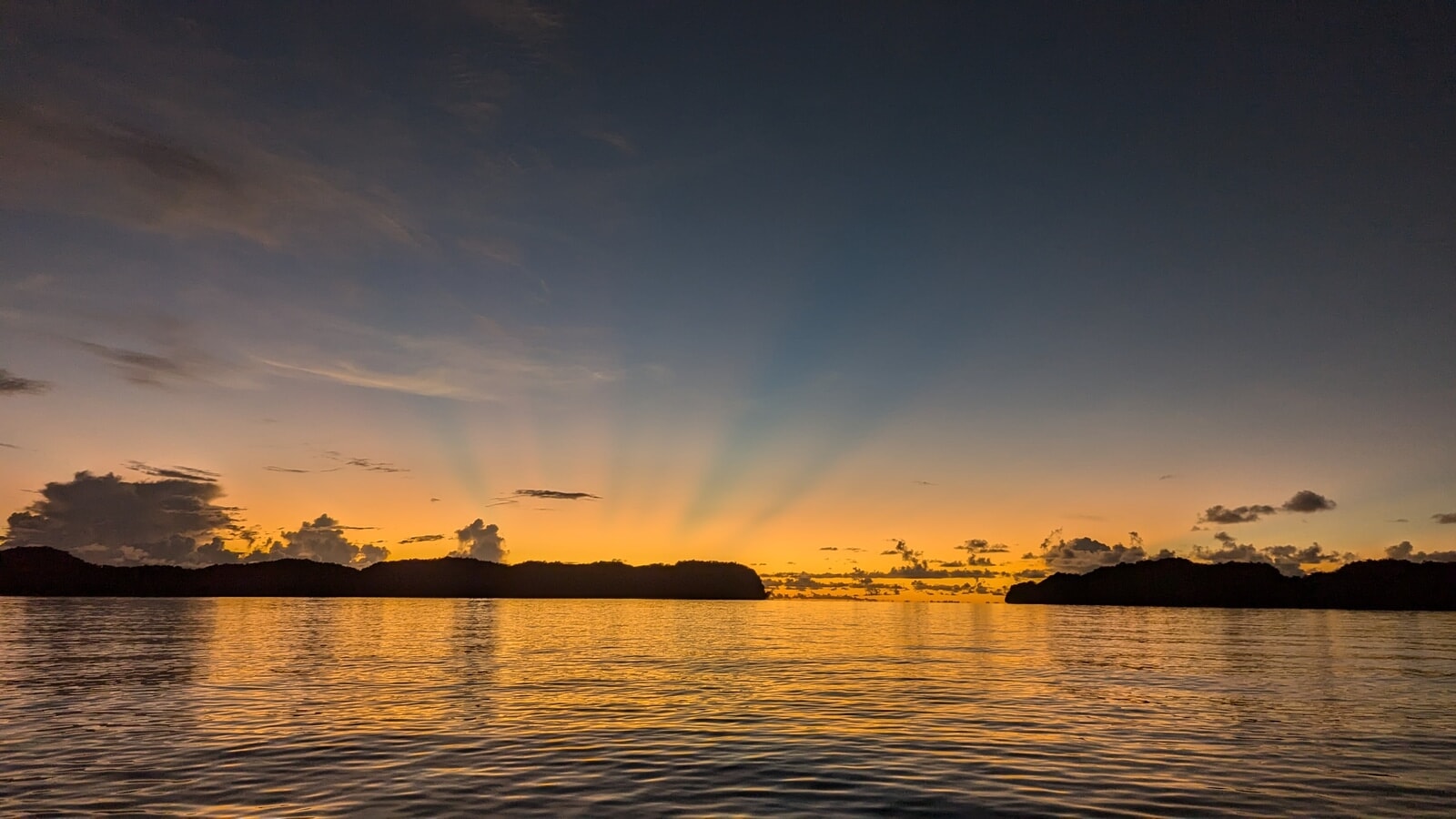 PXL_20241111_090413157 (1).jpg