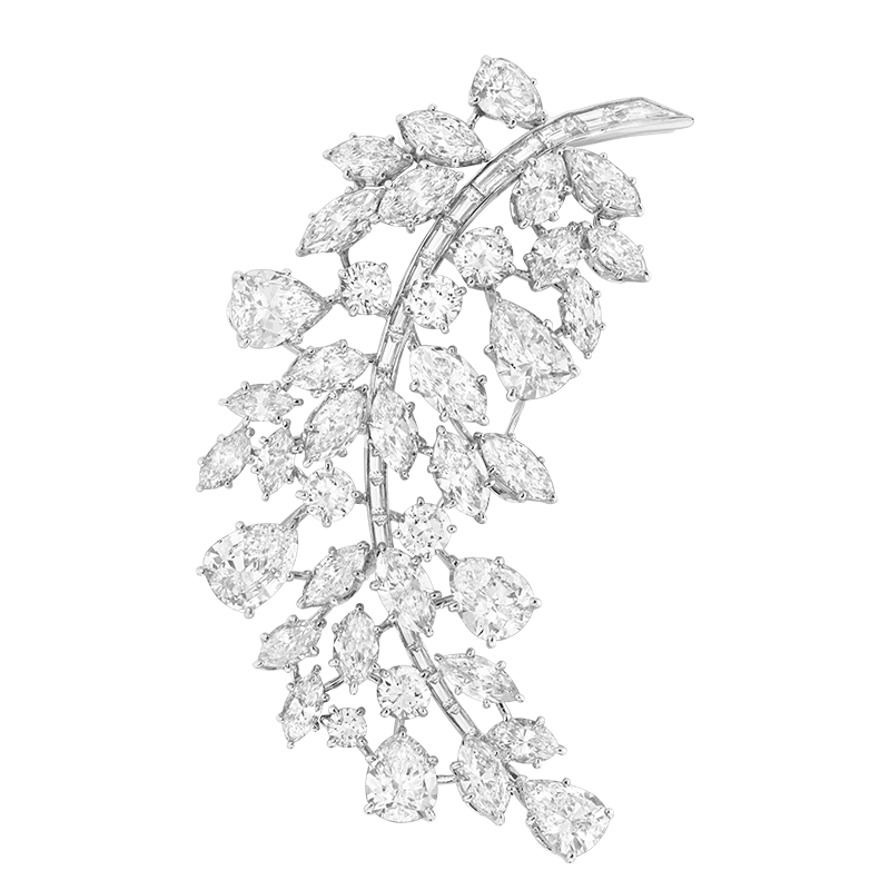 VCA-item-01-250520.png
