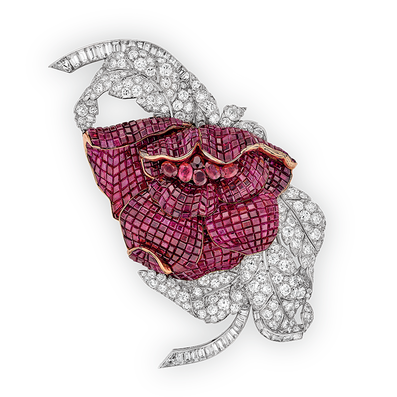 VCA-item-04-250520.png