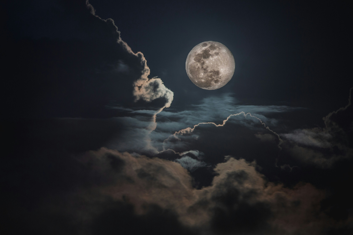 名称未設定のデザイン (6).png