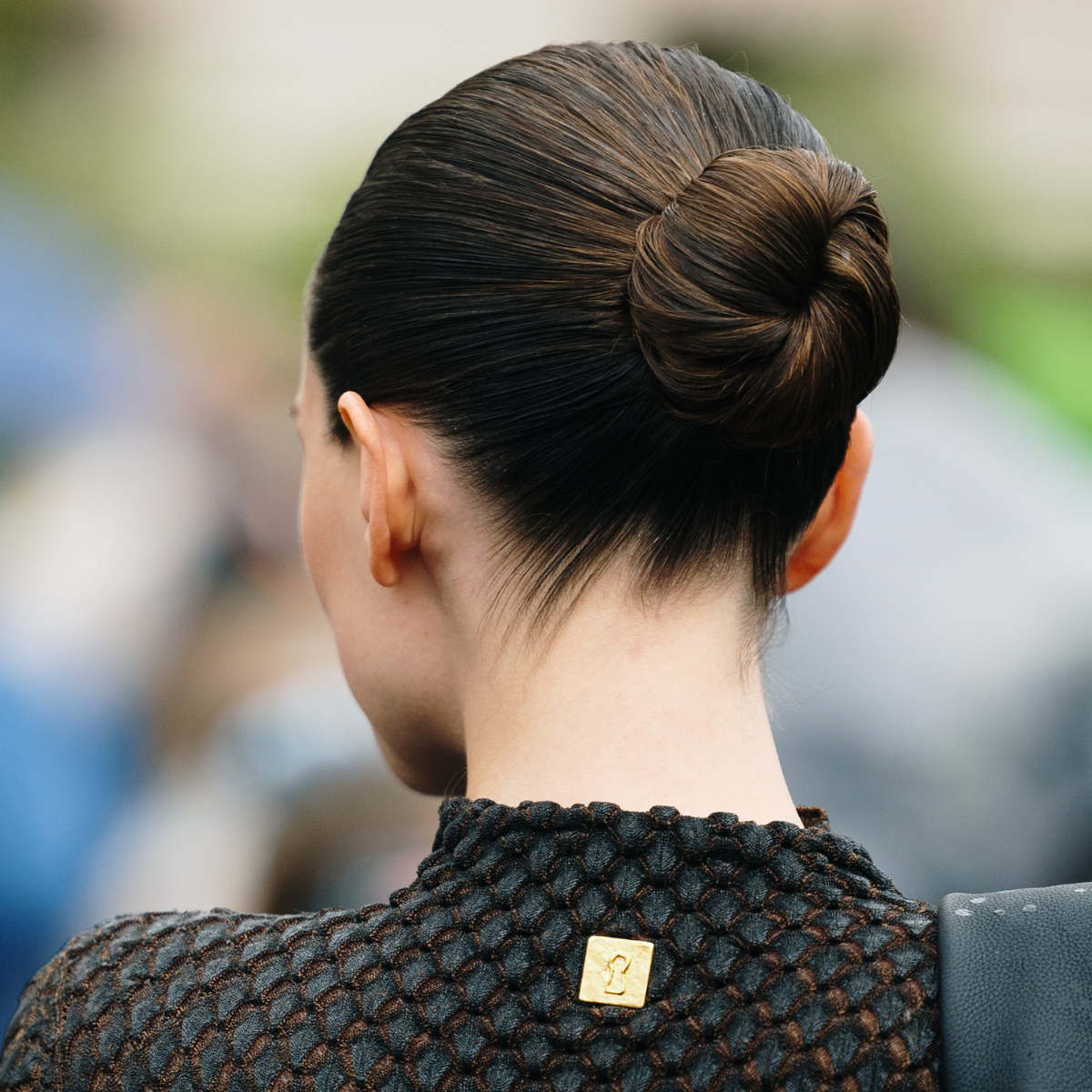 chignon1.png