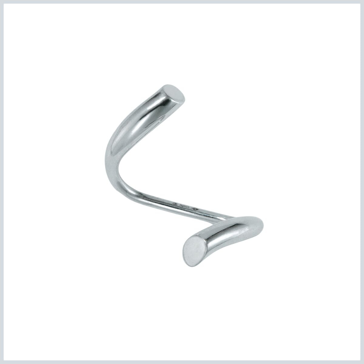 Charlotte Chesnais.jpg