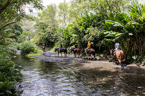 ハワイ島はビッグ＆スロー。時間も空間もぜいたくに遊び尽くそう...