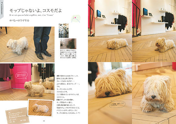 inu_34-35.jpg