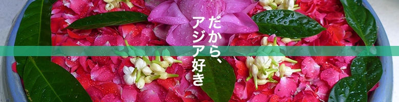 だから、アジア好き