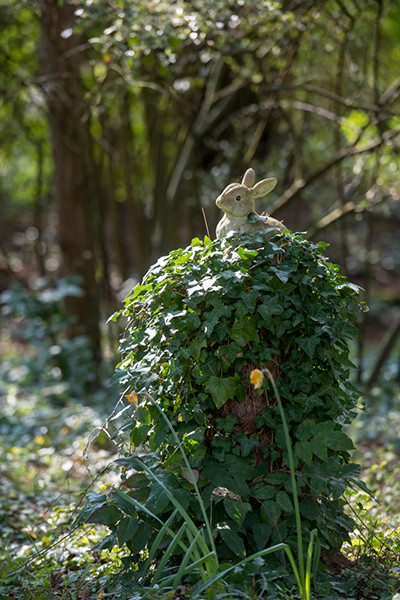 niwalog4_018-panda-niwa4-190426.jpg