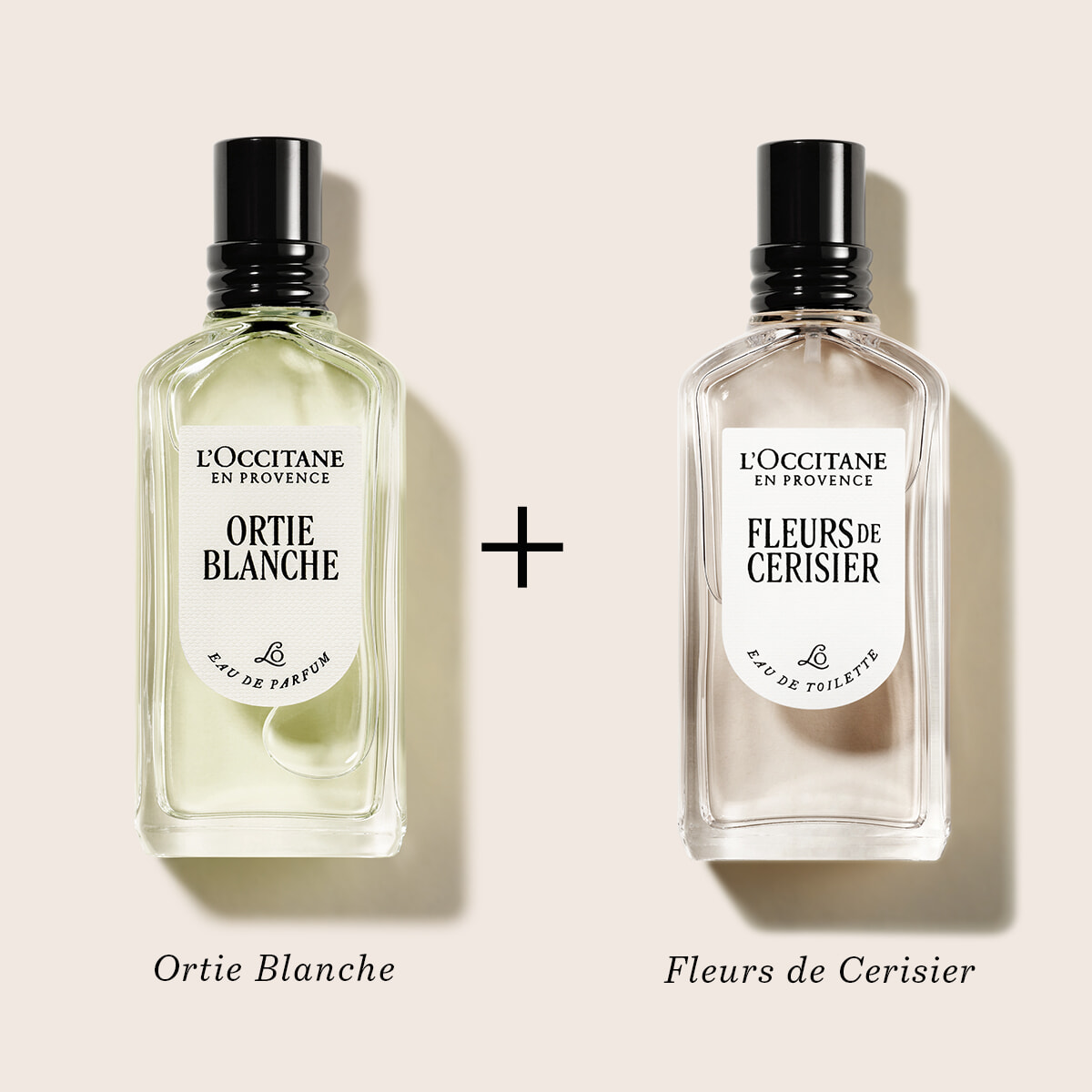 re-250912-loccitane-04.jpg