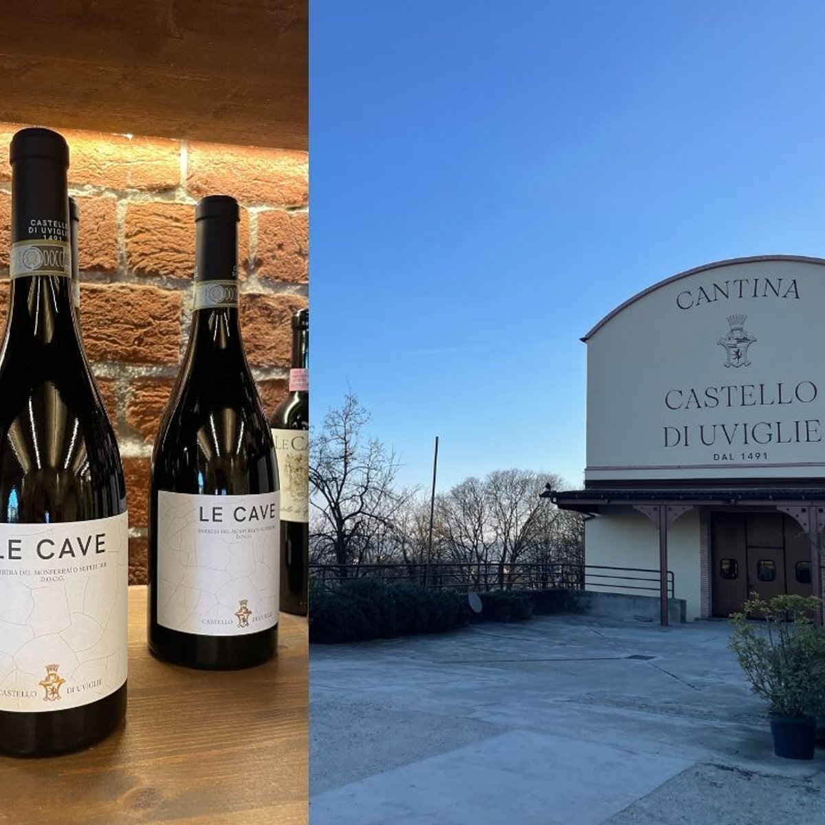 ピエモンテの城に佇むワイナリー……マッシが母と飲み交わした地元の赤ワインと、少年時代の祖父との思い出。