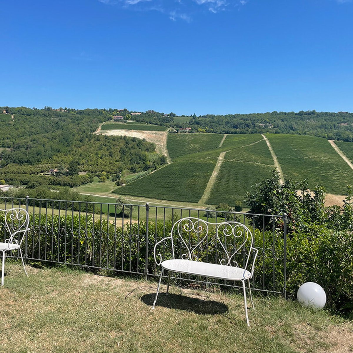 ピエモンテの知られざる超希少な赤ワイン「ルケ」とは？ マッシが思い出とともにレポート。