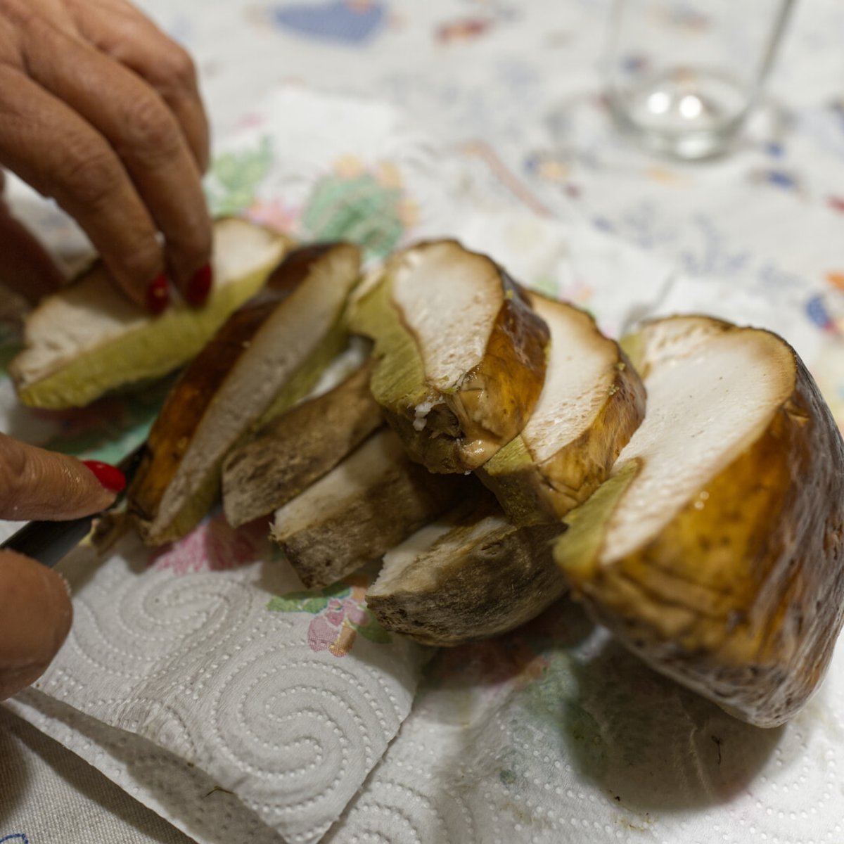 秋のイタリア食材といえばポルチーニ茸！ ピエモンテ出身マッシが教える、家庭でのいちばんおいしい食べ方とは？
