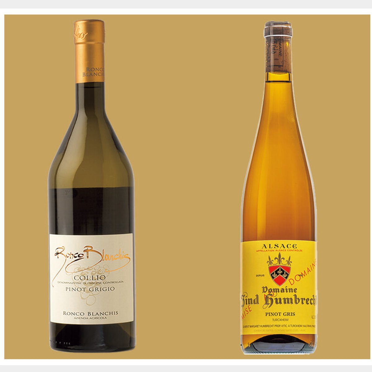 ピノ・ノワールの変異種「ピノ・グリ（ピノ・グリージョ）」とは？ アルザスとイタリア、産地で変わる味わいの特徴。