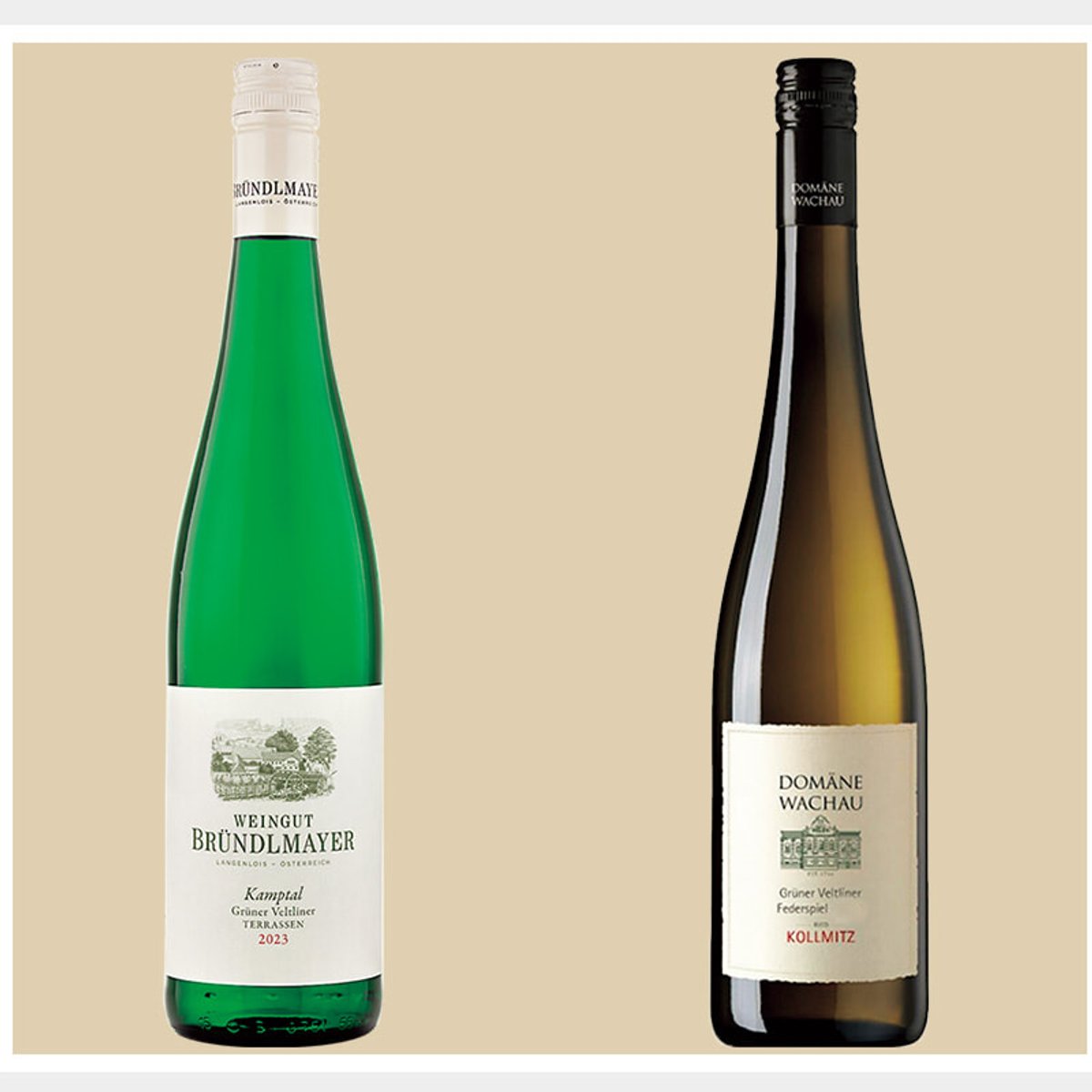 白胡椒とハーブが香る、通好みの白ワイン品種！「グリューナー・ヴェルトリーナー」の魅力。