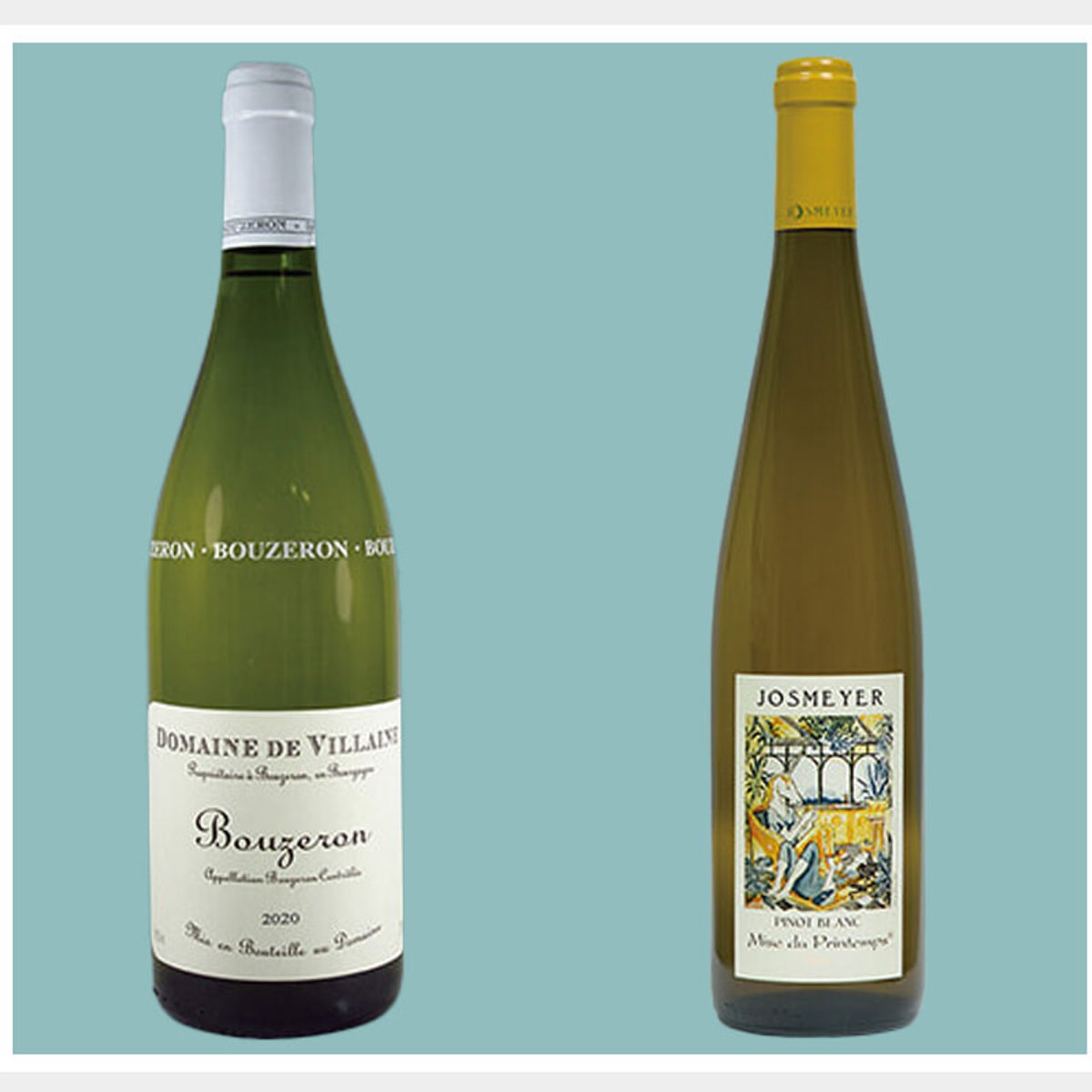 ブルゴーニュワインが好きになったら！ 試してみたい白ワイン品種「アリゴテ」と「ピノ・ブラン」の味わいとは。