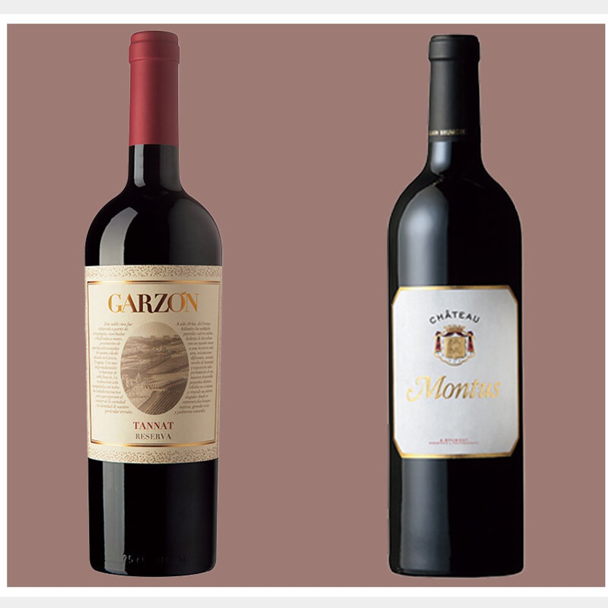 フランス原産、ウルグアイでも大人気の赤ワイン品種、タナの味わいって？