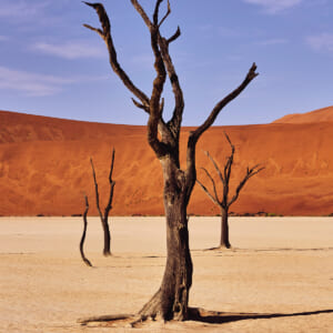 ナミビアで紡がれる、メシカのダイヤモンド物語。