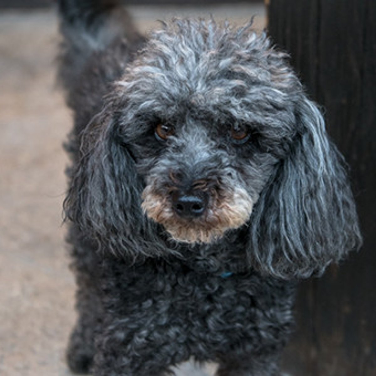 ショートクルーズで、アジアのローカルグルメを満喫！