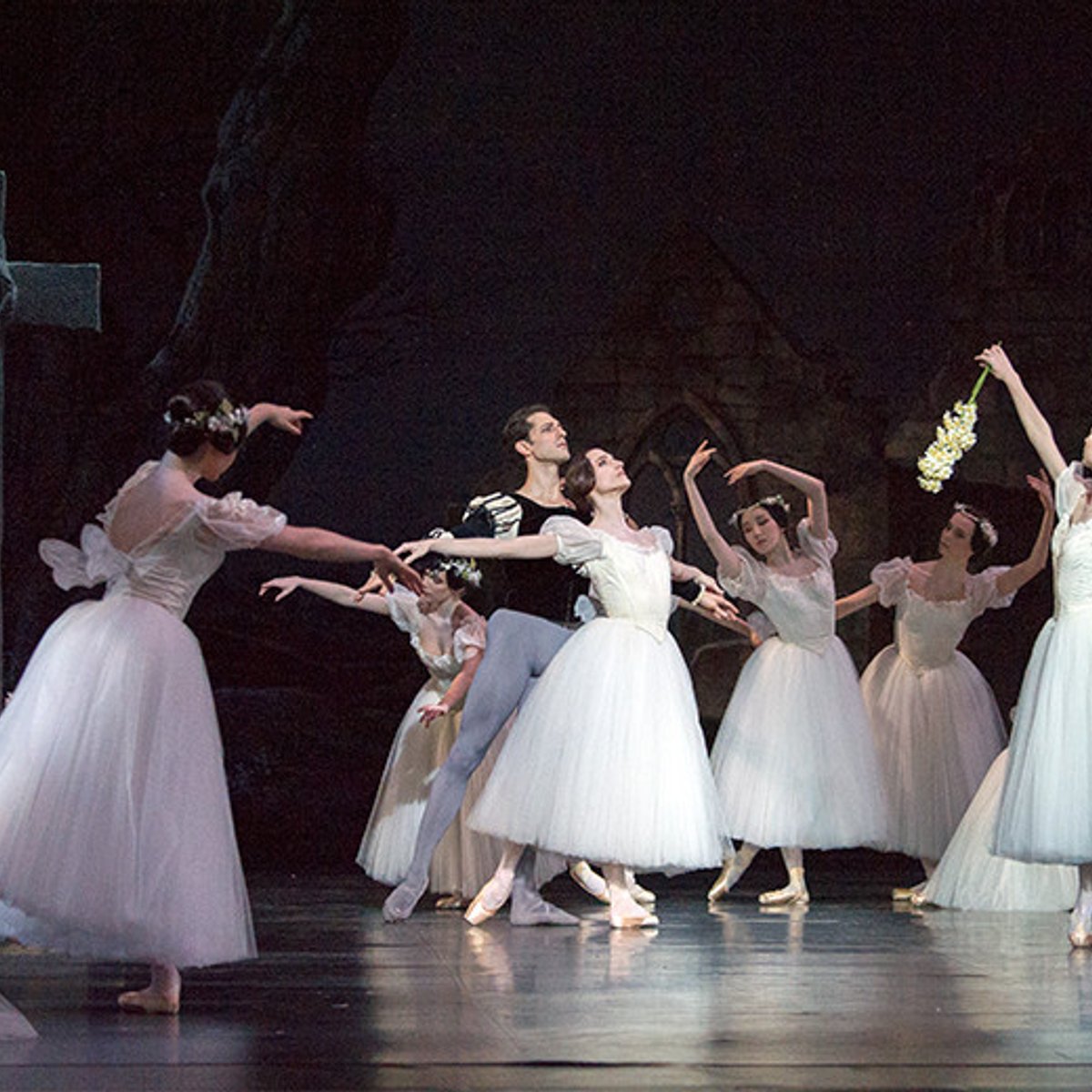 200218-giselle-1x1-1.jpg