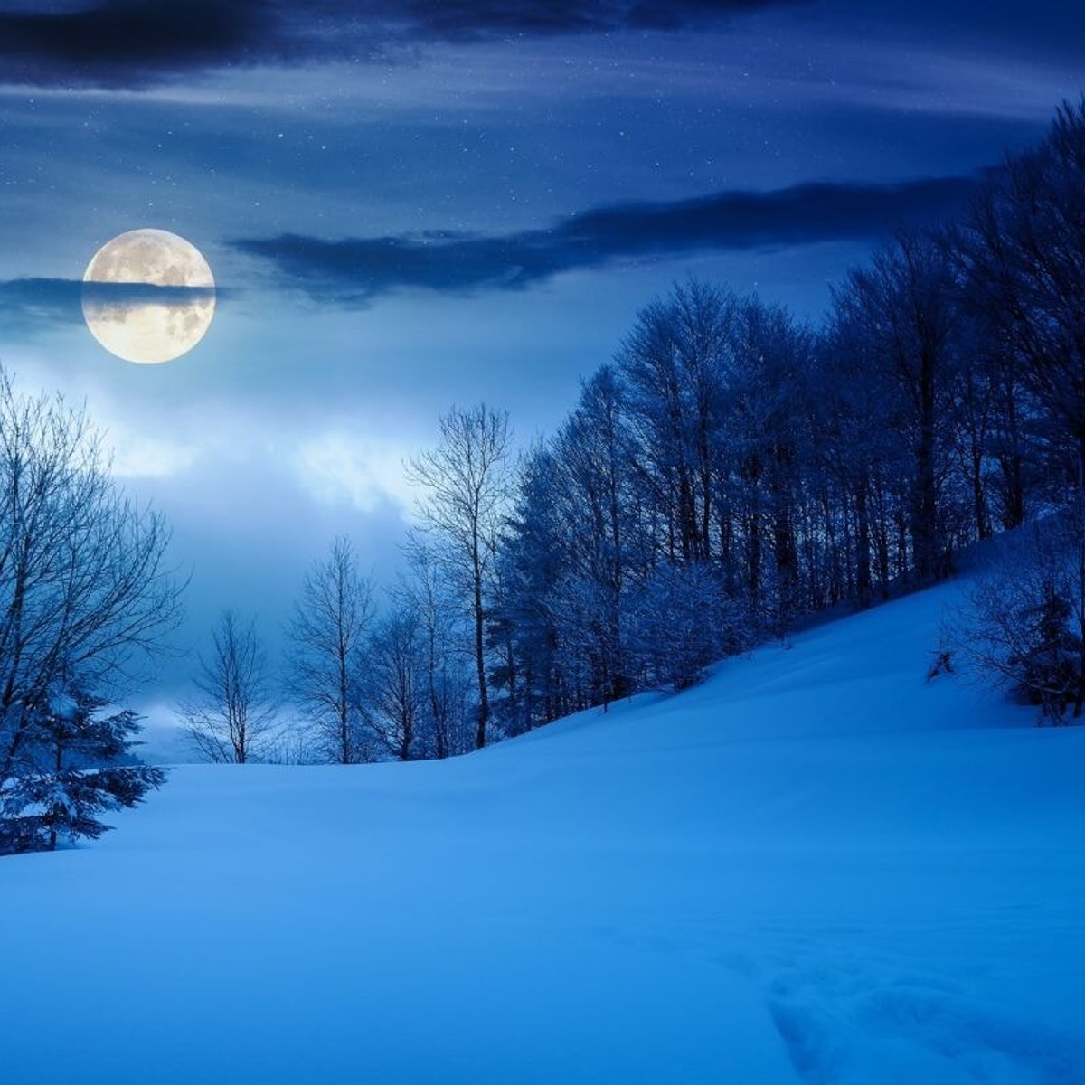 【移行3/30】立春を迎える2月2日の満月「スノームーン」。獅子座の満月は「自分を信じる」がキーワード。