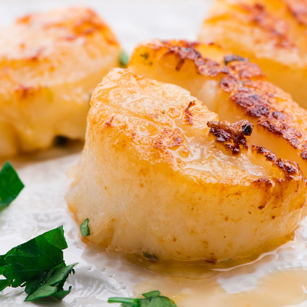 パーティ気分にピッタリの海の幸、ホタテに合うワインは？