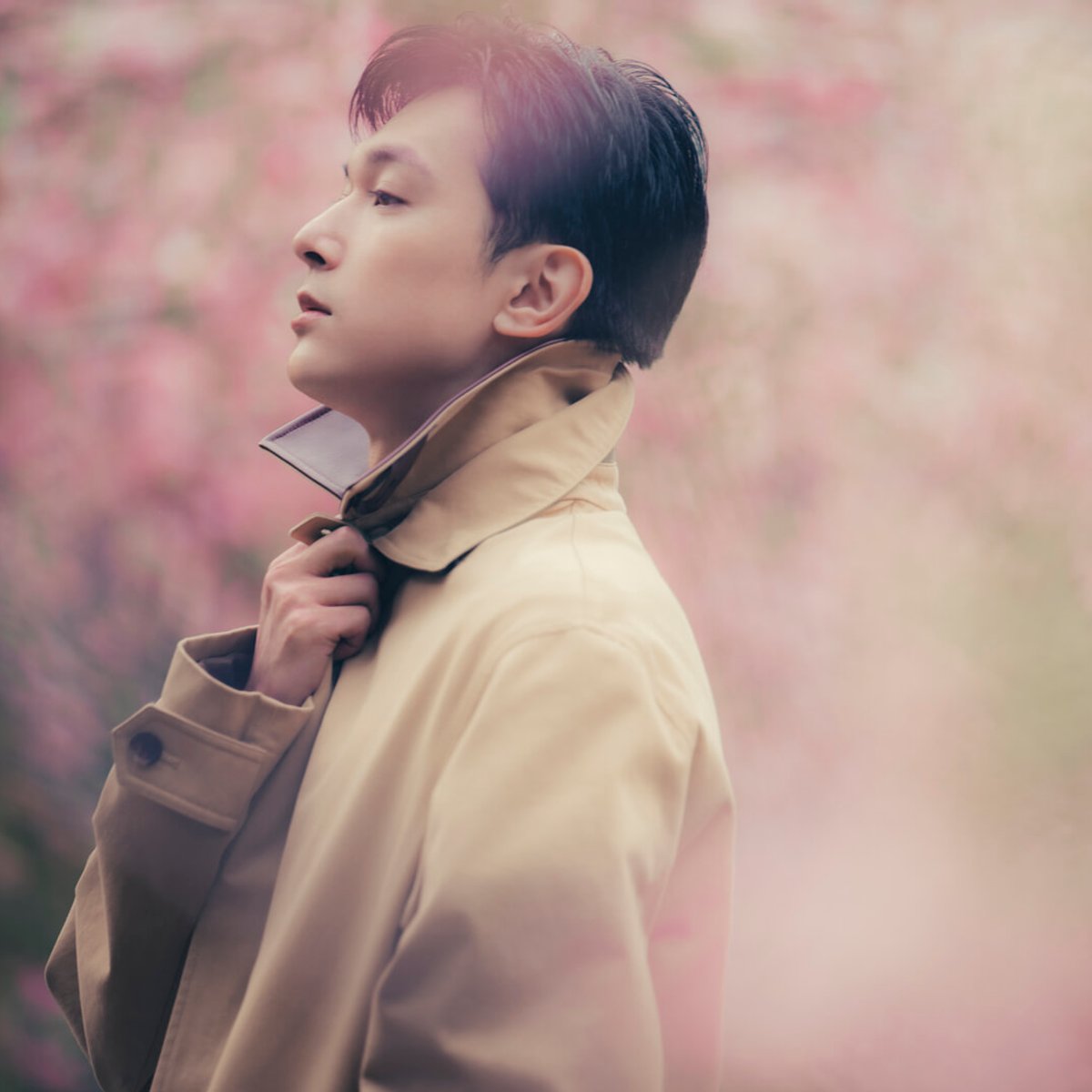 吉沢亮、満開の桜と春の訪れを祝う。