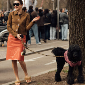 ファッションウィークは愛犬同伴が新常識？ 3人のスタイルをチェック。