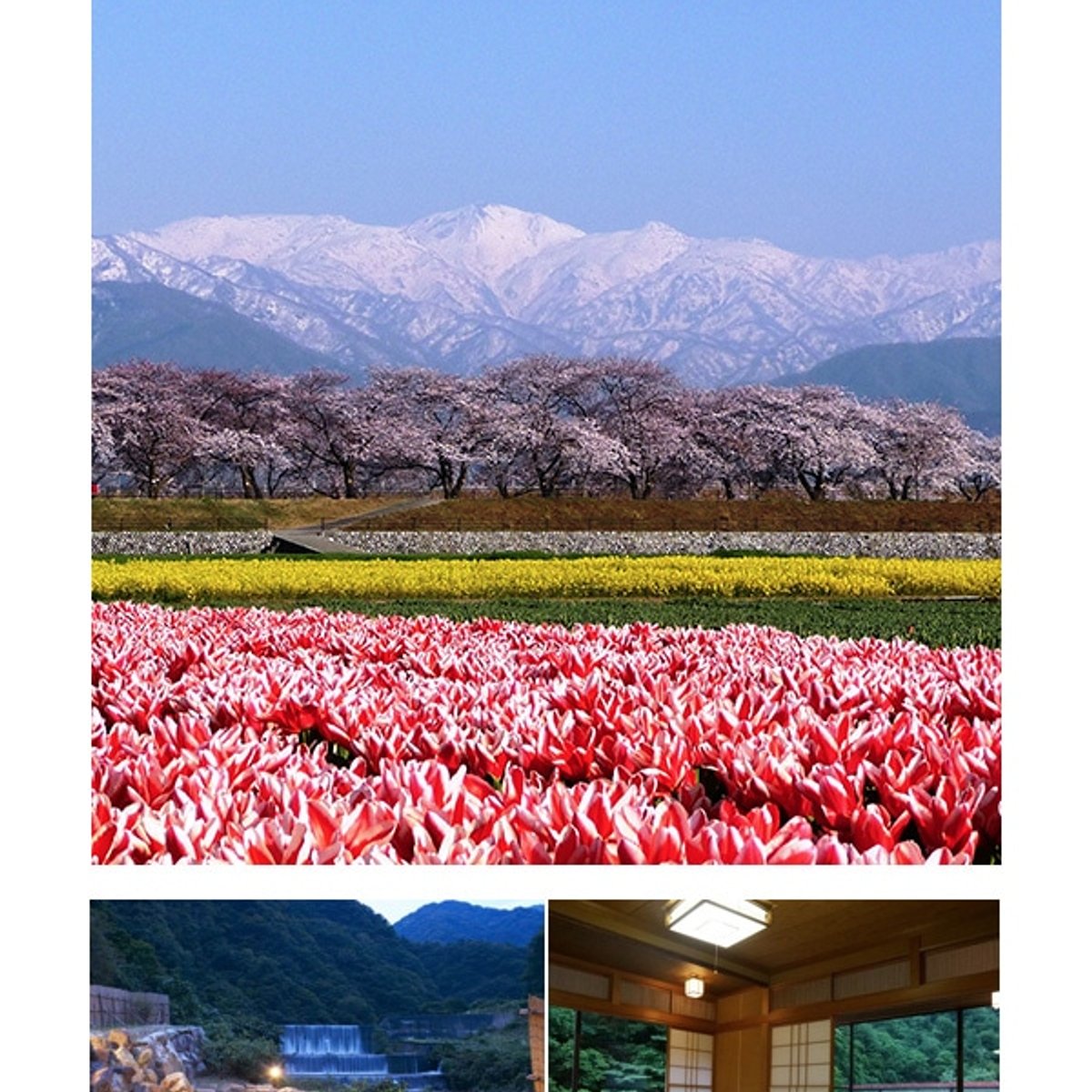 富山で出合う、北アルプス山麓の”絶景三重奏”と日本海の美食。