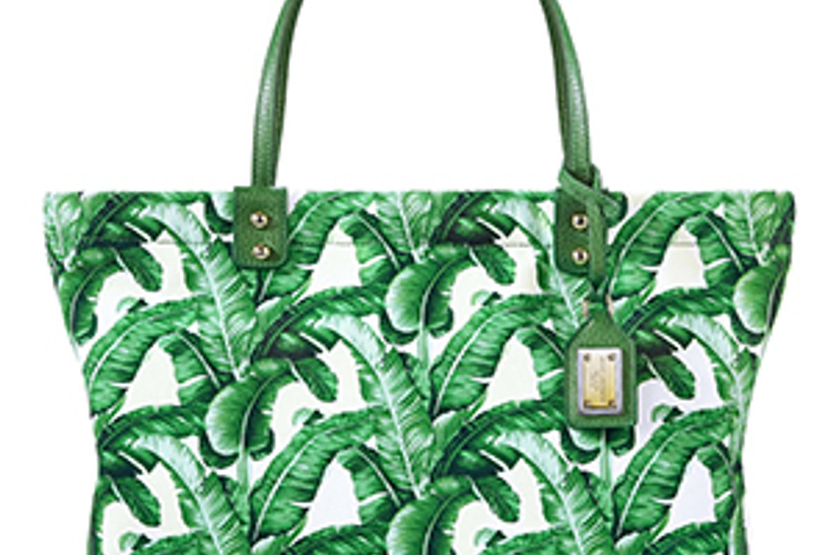 160620-dolceandgabbana-ogp-2.jpg