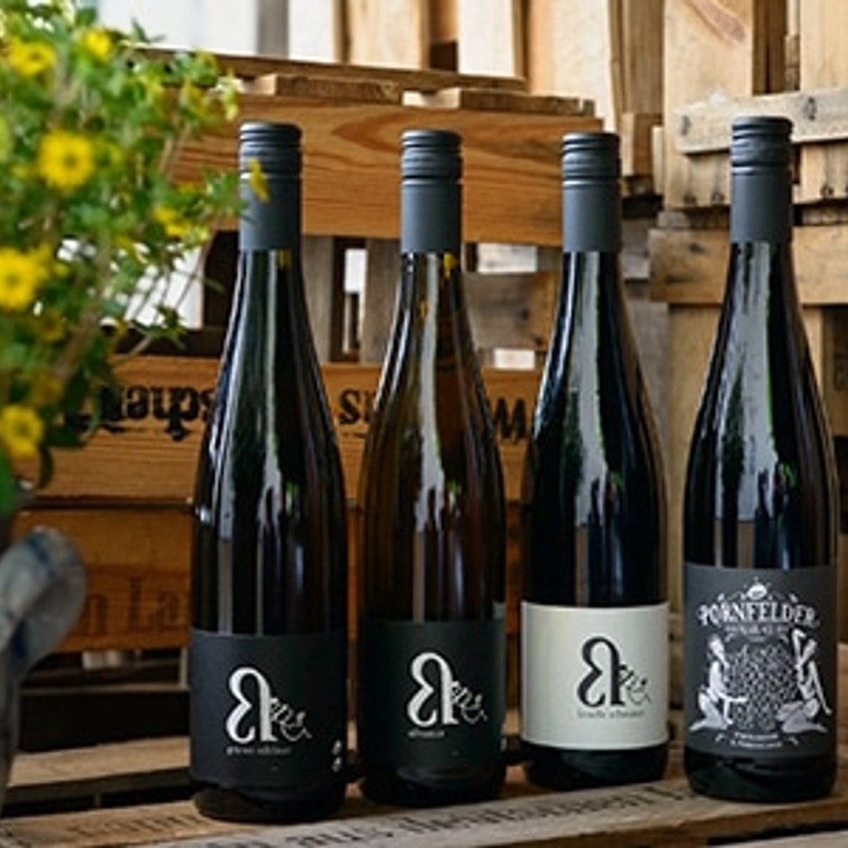 リースリングは嫌い!?な造り手の自慢のワインとは。