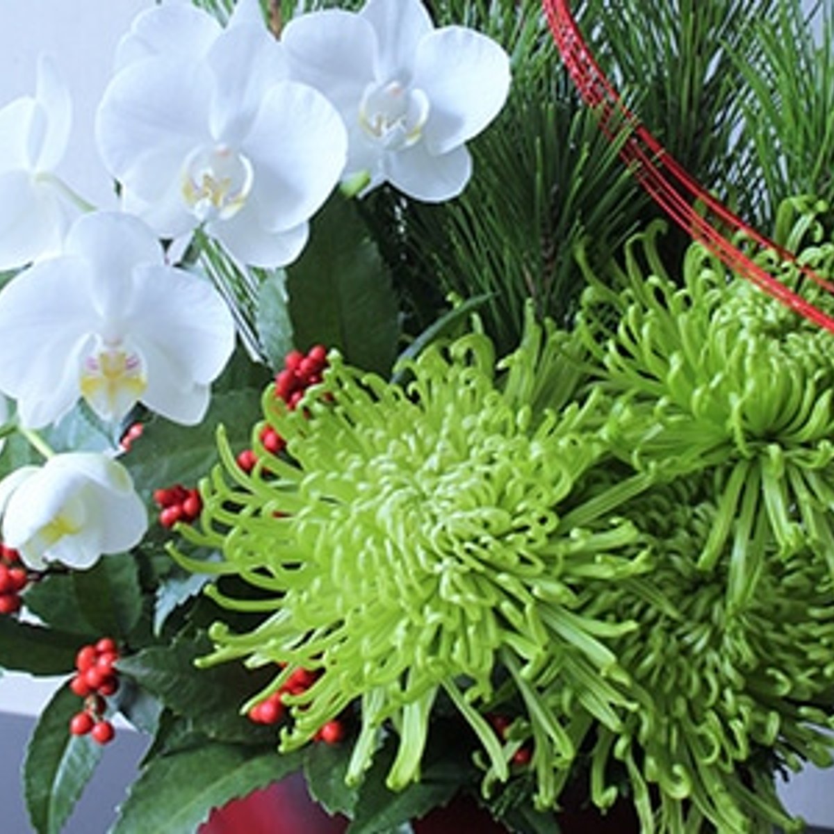 神宿る松と福を呼ぶ花々で迎える、清々しいお正月