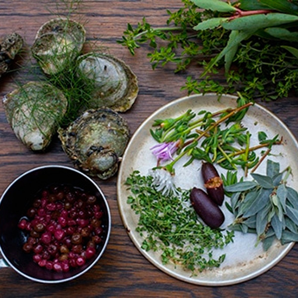 極上のピノノワールを求めて、伝説のワイナリーへ。