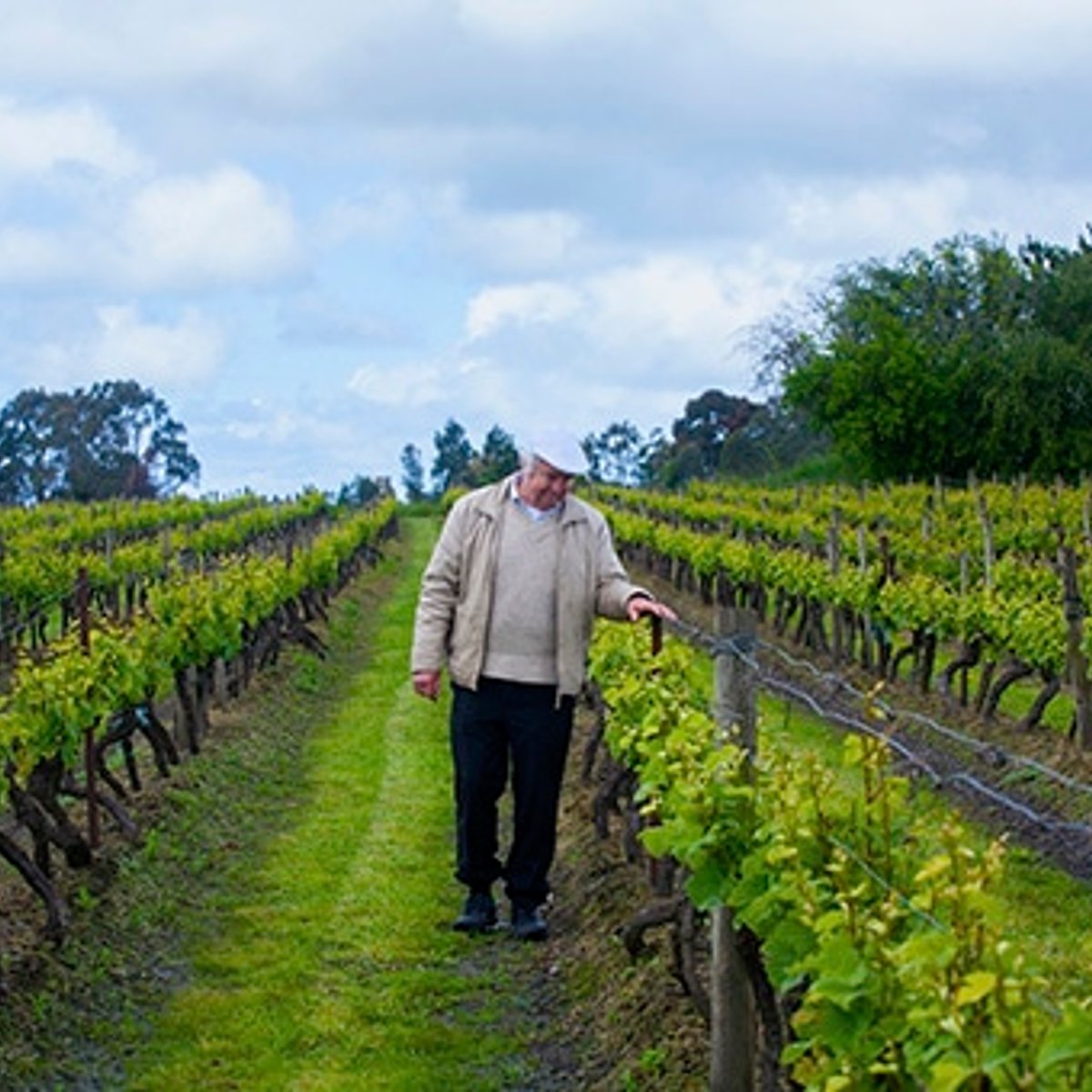 オーストラリア・ワイナリー紀行。