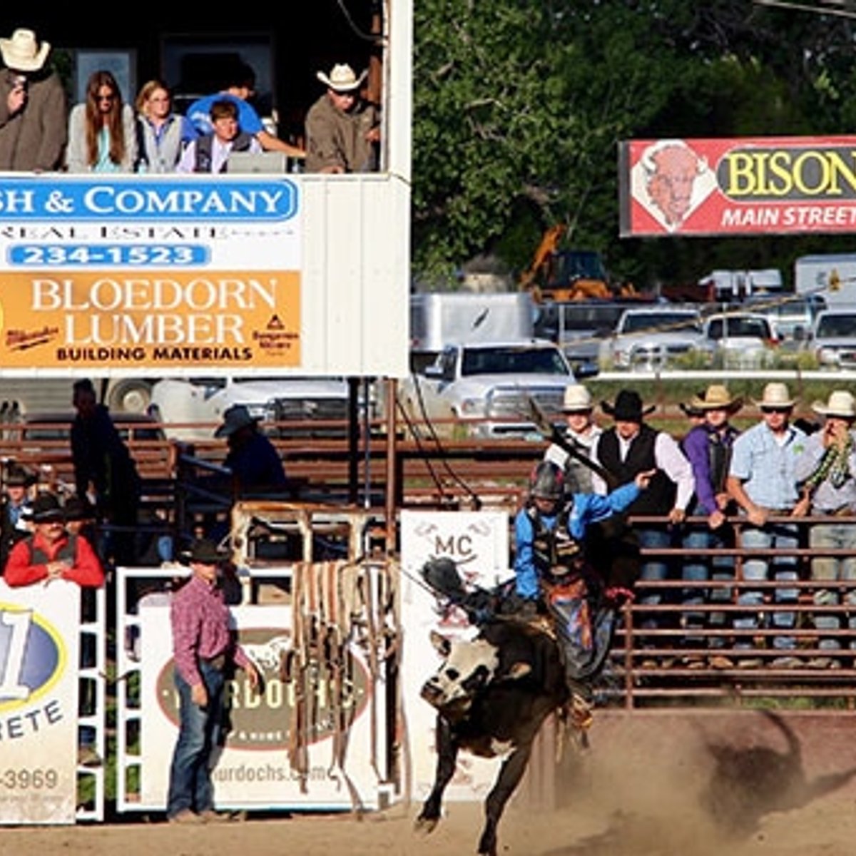 モンタナのビッグスカイの下、緑の大草原に癒される。