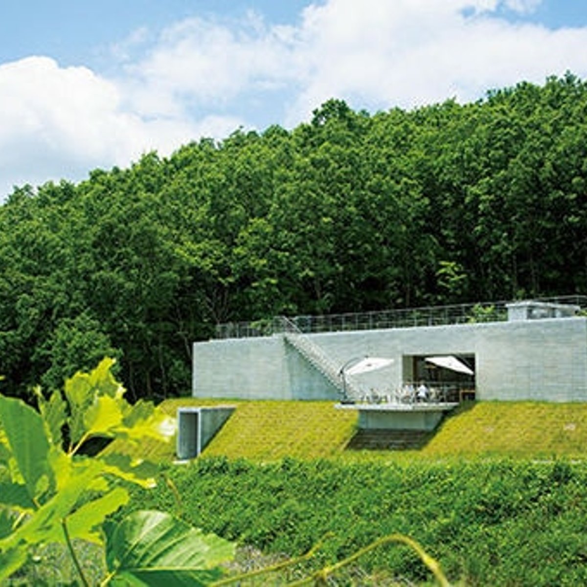 自然とアートに囲まれ、ミネラル感豊かなワインを堪能。