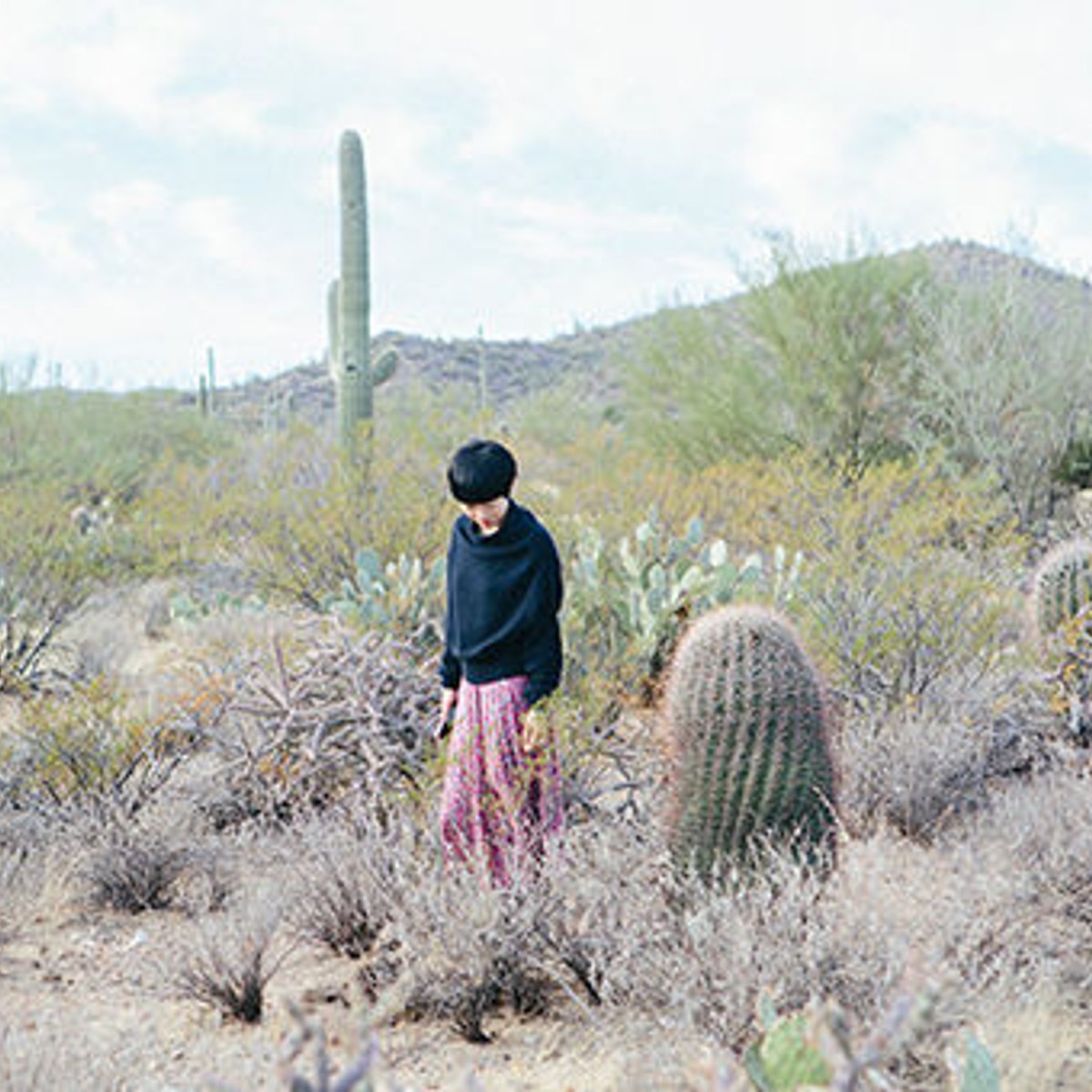 阿部好世が訪れた、メキシコ文化の残る街ツーソン。