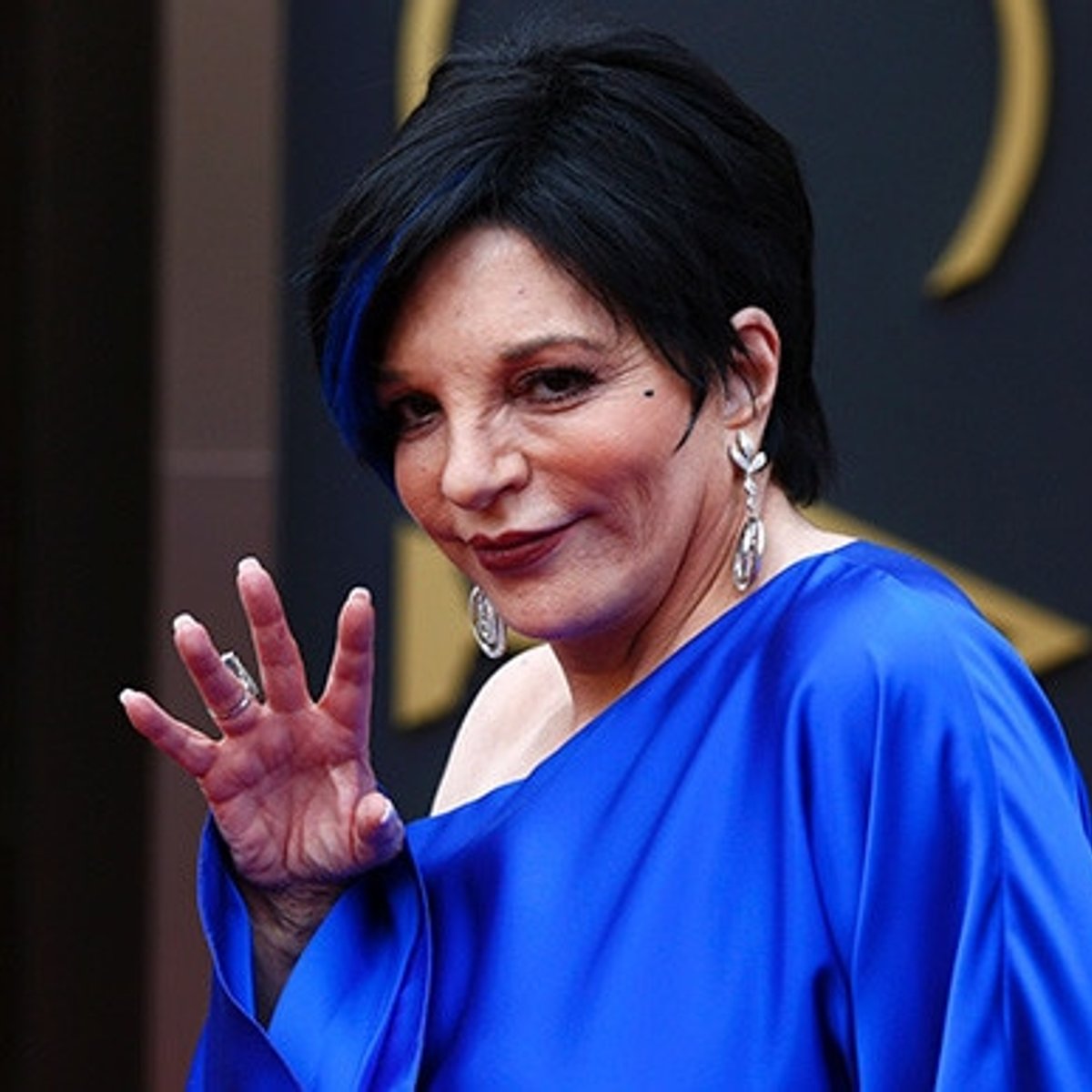 ライザ・ミネリ、レネーのジュディ・ガーランドを承認せず。