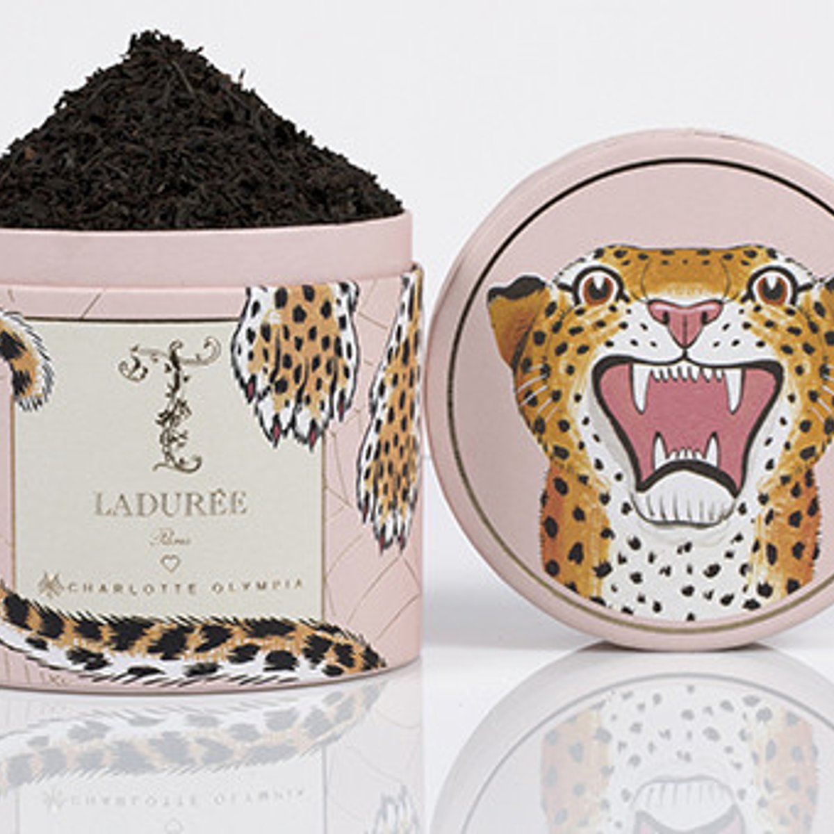 ガァーオ !!  シャーロット オリンピア×ラデュレの紅茶。