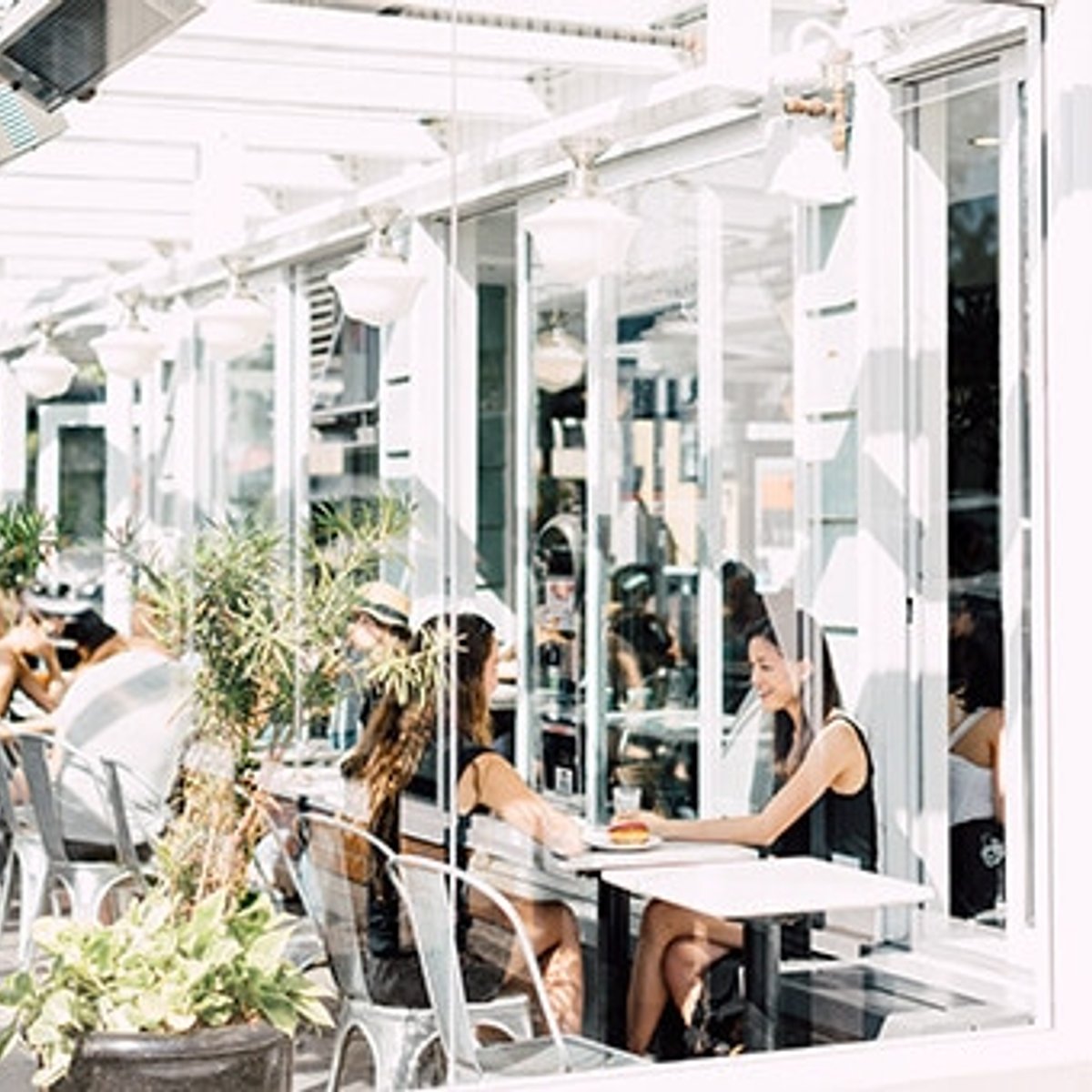 カナダ・バンクーバーの、春の楽しみ方。