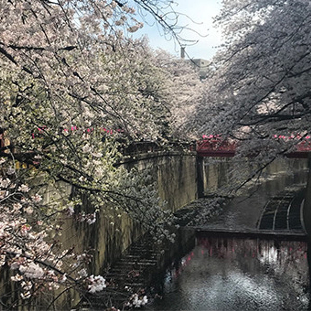 Vol.1　セシリエ、東京を歩く編