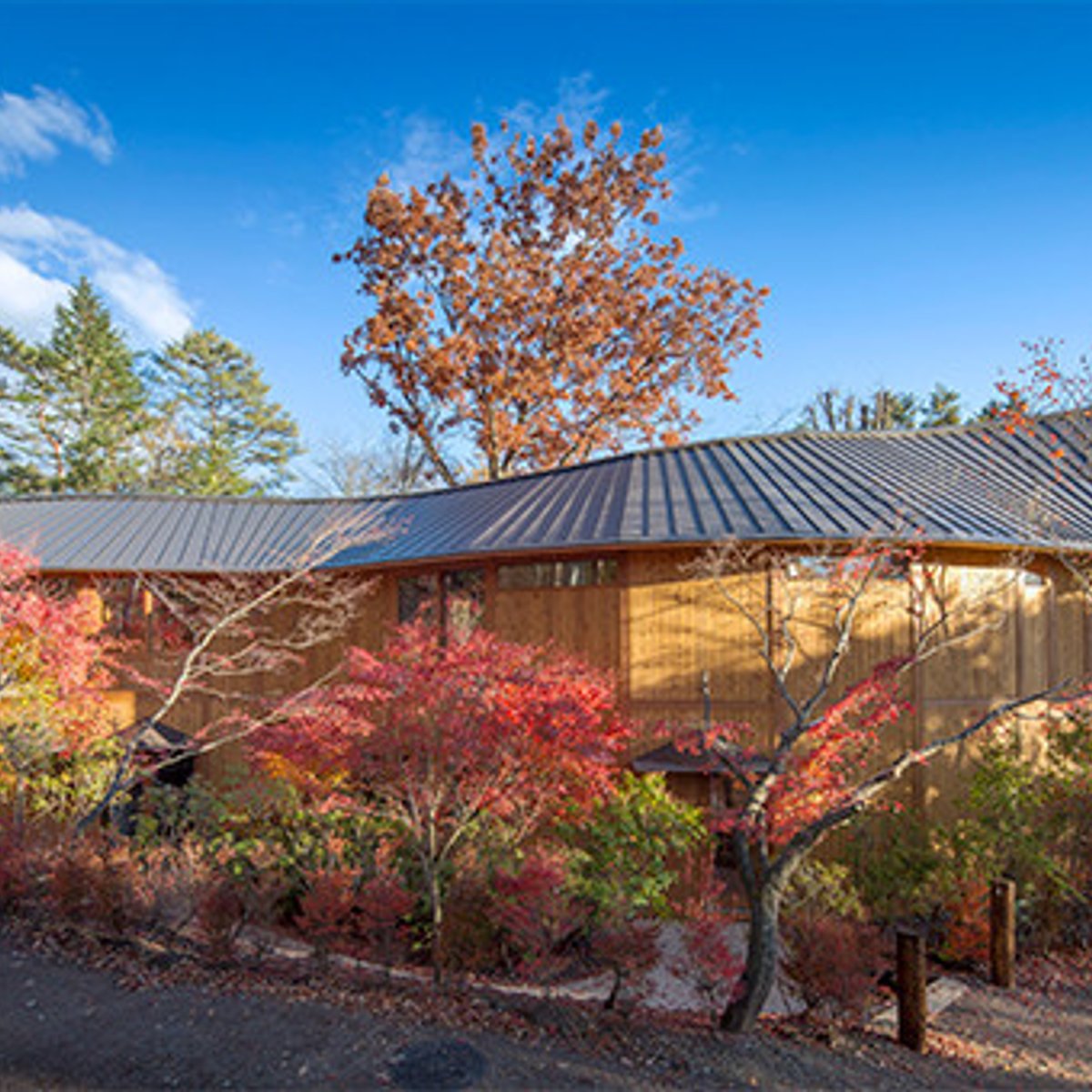 坂茂建築とアートが出合う、体感型ホテルが軽井沢にオープン。